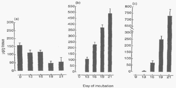 Oxidative stress protection of embryos by 