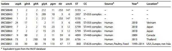 Genotyping and antibiotic resistance of thermophilic Campylobacter isolated from chicken and pig meat in Vietnam - Image 4