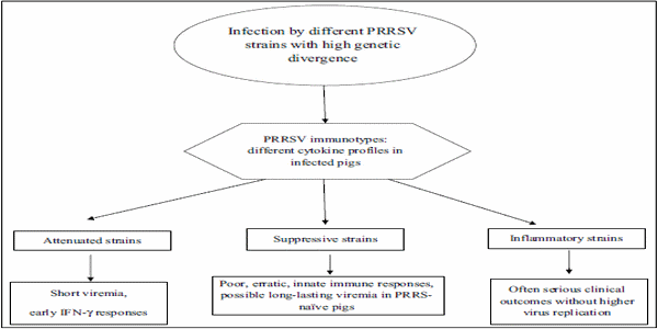 Immune control of PRRS: lessons to be learned and possible ways forward - Image 2