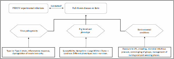 Immune control of PRRS: lessons to be learned and possible ways forward - Image 1