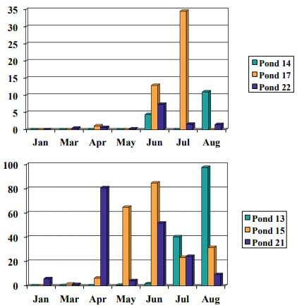 Managing Algal Blooms and the Potential for Algal Toxins in Pond Water - Image 5