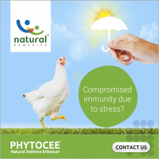 Production stress: consequence of high performance - Image 4