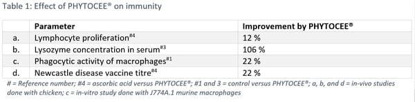 Production stress: consequence of high performance - Image 3