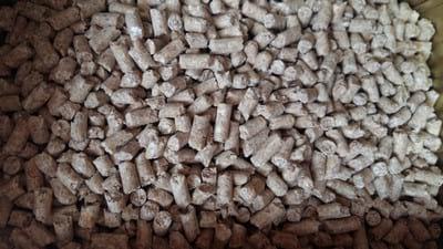 Remove Salmonella from the feed to increase the value of your equipment - Image 5