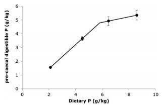 Precaecal phosphorus digestibility of inorganic phosphate sources in male broilers - Image 5