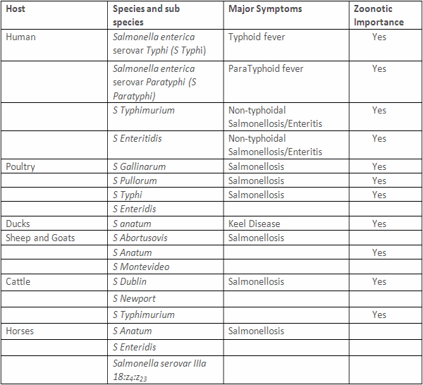 Salmonellosis: A concise review of one of major zoonotic meat borne illness - Image 1