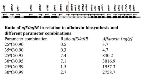 Effect of climate change on Aspergillus flavus and aflatoxin B1 production - Image 1
