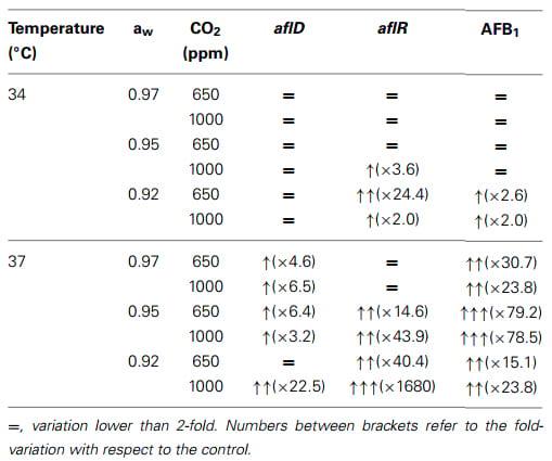 Effect of climate change on Aspergillus flavus and aflatoxin B1 production - Image 7