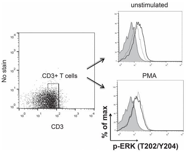 1a,25(OH)2 Vitamin D3 Modulates Avian T Lymphocyte Functions without Inducing CTL Unresponsiveness - Image 4
