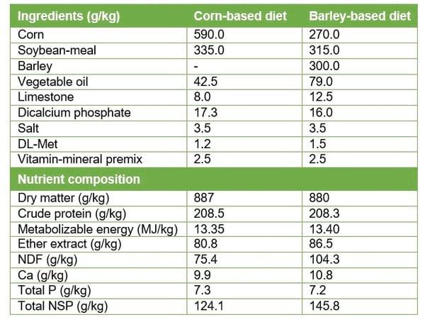 Prevention of Footpad Lesions in Broilers - Image 1