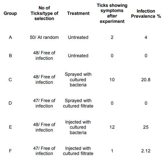 Staphylococcus saprophyticus is a pathogen of the cattle tick Rhipicephalus (Boophilus) microplus - Image 2