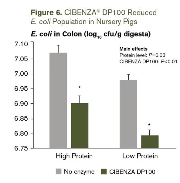 Improving precision feeding with protease - Image 7