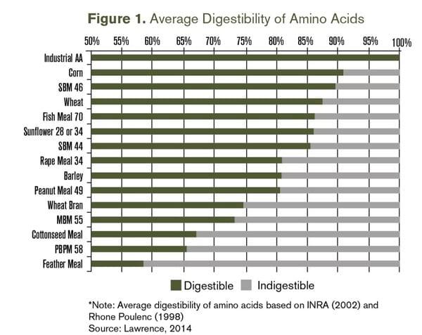 Improving precision feeding with protease - Image 1