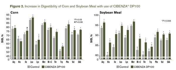 Improving precision feeding with protease - Image 3