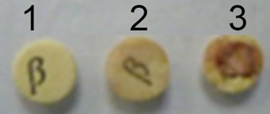 Outer membrane vesicles of Pasteurella multocida contain virulence factors - Image 6