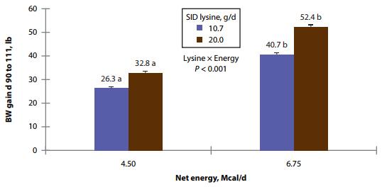 Effects of Amino Acid and Energy Intake During Late Gestation on Piglet Birth Weight and Reproductive Performance of Gilts and Sows Housed Under Commercial Conditions - Image 7