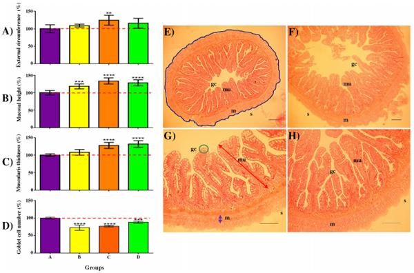 Nutrigenomic and Nutritional Analyses Reveal the Effects of Pelleted Feeds on Asian Seabass (Lates calcarifer) - Image 9