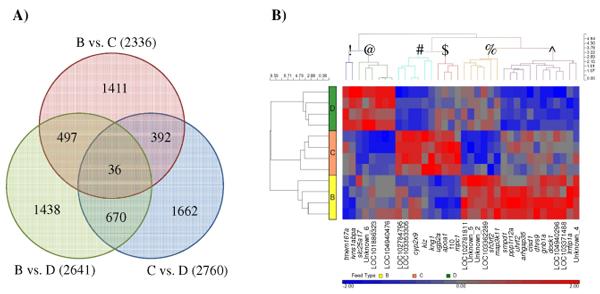 Nutrigenomic and Nutritional Analyses Reveal the Effects of Pelleted Feeds on Asian Seabass (Lates calcarifer) - Image 12