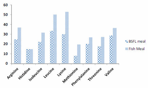 Efficacy of insect larval meal to replace fish meal in juvenile barramundi, Lates calcarifer reared in freshwater - Image 4