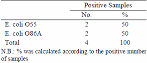 Bacteriological evaluation of freshly slaughtered chicken carcasses - Image 3