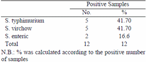 Bacteriological evaluation of freshly slaughtered chicken carcasses - Image 4
