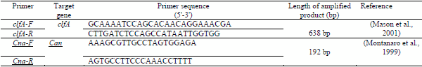 Mycoplasma Synoviae and other Associated Bacteria Causing Arthritis in Chicken - Image 2