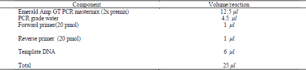 Mycoplasma Synoviae and other Associated Bacteria Causing Arthritis in Chicken - Image 4