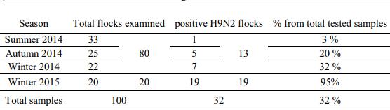 Pathogenicity of an Avian Influenza H9N2 Virus isolated From Broiler Chickens in Egypt - Image 2