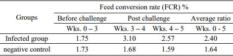 Pathogenicity of an Avian Influenza H9N2 Virus isolated From Broiler Chickens in Egypt - Image 7