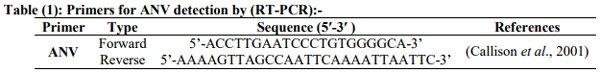 Incidence of Avian Nephritis and Infectious Bronchitis Viruses in Broilers in Egypt - Image 1
