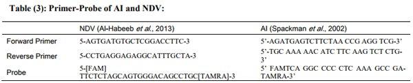 Incidence of Avian Nephritis and Infectious Bronchitis Viruses in Broilers in Egypt - Image 3