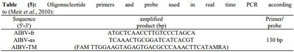 Incidence of Avian Nephritis and Infectious Bronchitis Viruses in Broilers in Egypt - Image 5