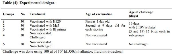 Incidence of Avian Nephritis and Infectious Bronchitis Viruses in Broilers in Egypt - Image 4