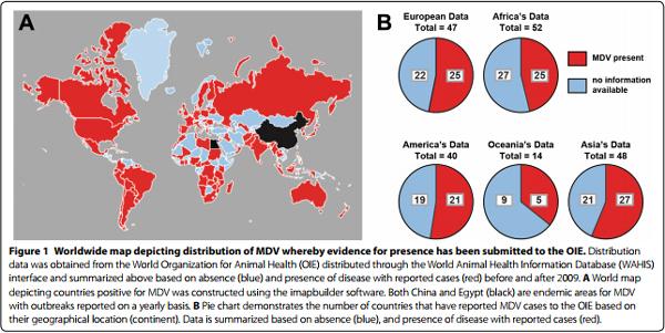 Marek’s disease in chickens: a review with focus on immunology - Image 1