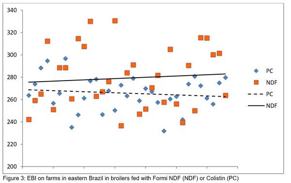 The impact of dietary diformates (Formi NDF) on gut health in poultry as an alternative to AGP - Image 5