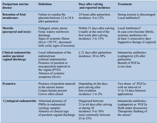 Postpartum uterine diseases in dairy cows: a review with emphasis on subclinical endometritis - Image 1