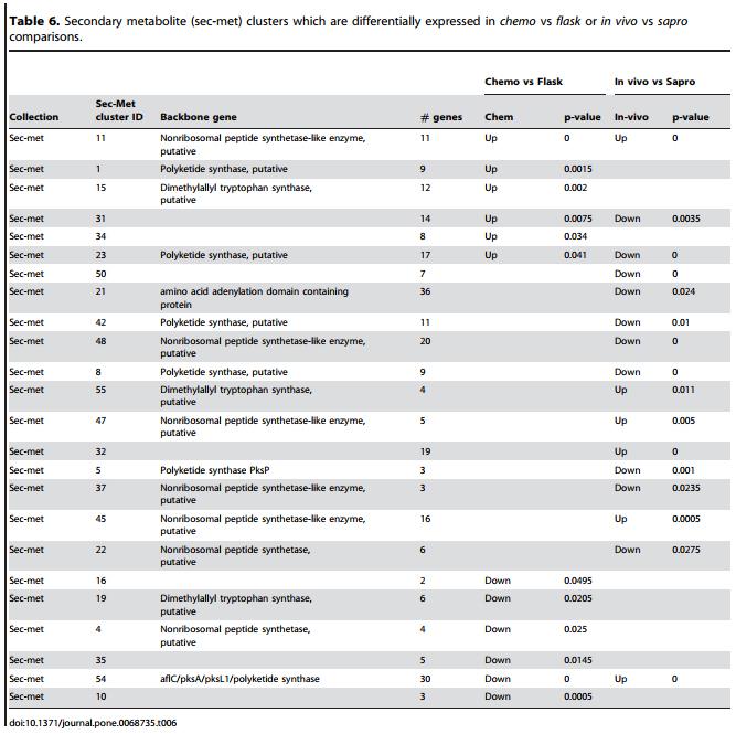 Genotypic and Phenotypic Versatility of Aspergillus flavus during Maize Exploitation - Image 13