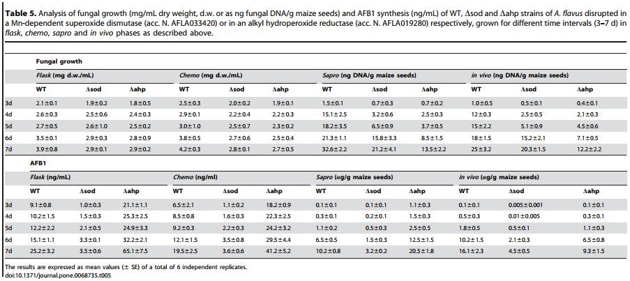 Genotypic and Phenotypic Versatility of Aspergillus flavus during Maize Exploitation - Image 11