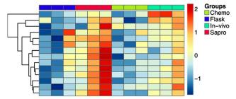 Genotypic and Phenotypic Versatility of Aspergillus flavus during Maize Exploitation - Image 15