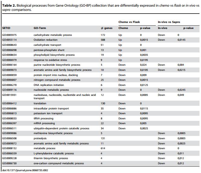 Genotypic and Phenotypic Versatility of Aspergillus flavus during Maize Exploitation - Image 3