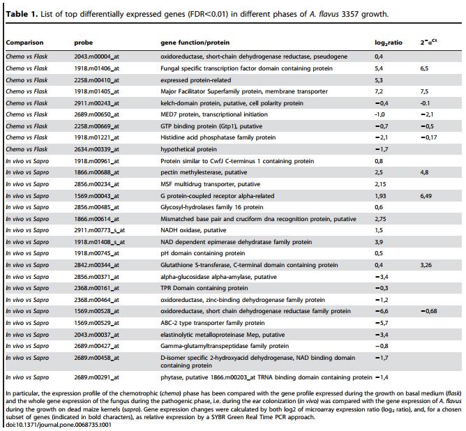 Genotypic and Phenotypic Versatility of Aspergillus flavus during Maize Exploitation - Image 1