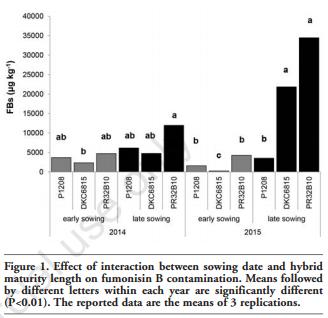 Impact of Sowing Time, Hybrid and Environmental Conditions on the Contamination of Maize by Emerging Mycotoxins and Fungal Metabolites - Image 5