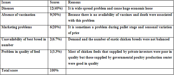 Demonstration of Commercial Layer Chicken “Bovans Brown” Technology Packages for Smallholder Poultry Producers in Eastern Amhara, Ethiopia - Image 7