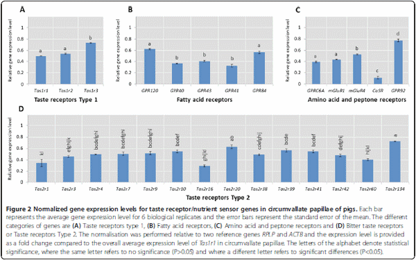 Characterization of the porcine nutrient and taste receptor gene repertoire in domestic and wild populations across the globe - Image 2