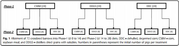 Disappearance and appearance of an indigestible marker in feces from growing pigs as affected by previous- and current-diet composition - Image 2