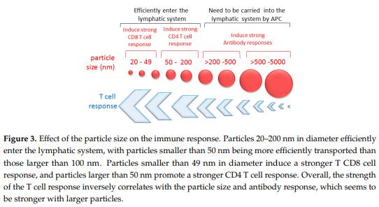 Synthetic Biodegradable Microparticle and Nanoparticle Vaccines against the Respiratory Syncytial Virus - Image 3