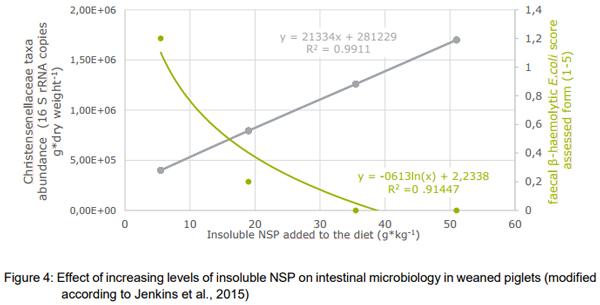 “Fibre”: necessary paradigm shift in pig feeding - Image 8