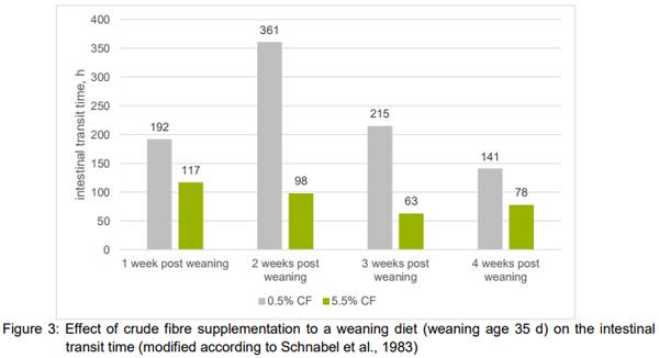 “Fibre”: necessary paradigm shift in pig feeding - Image 6