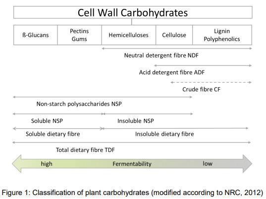 “Fibre”: necessary paradigm shift in pig feeding - Image 1