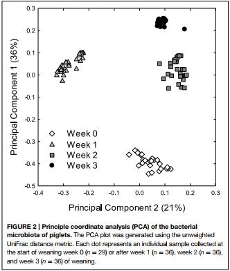 Reutericyclin producing Lactobacillus reuteri modulates development of fecal microbiota in weanling pigs - Image 4
